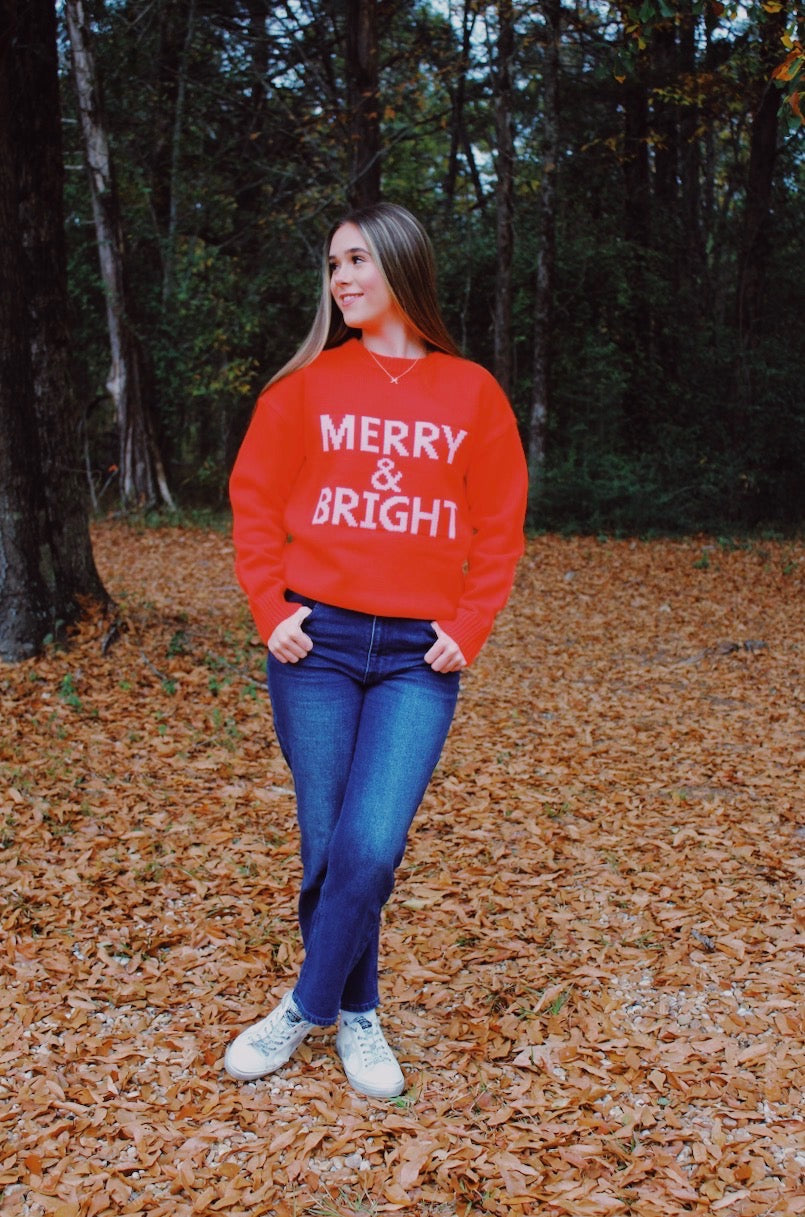 MERRY AND BRIGHT SWEATER