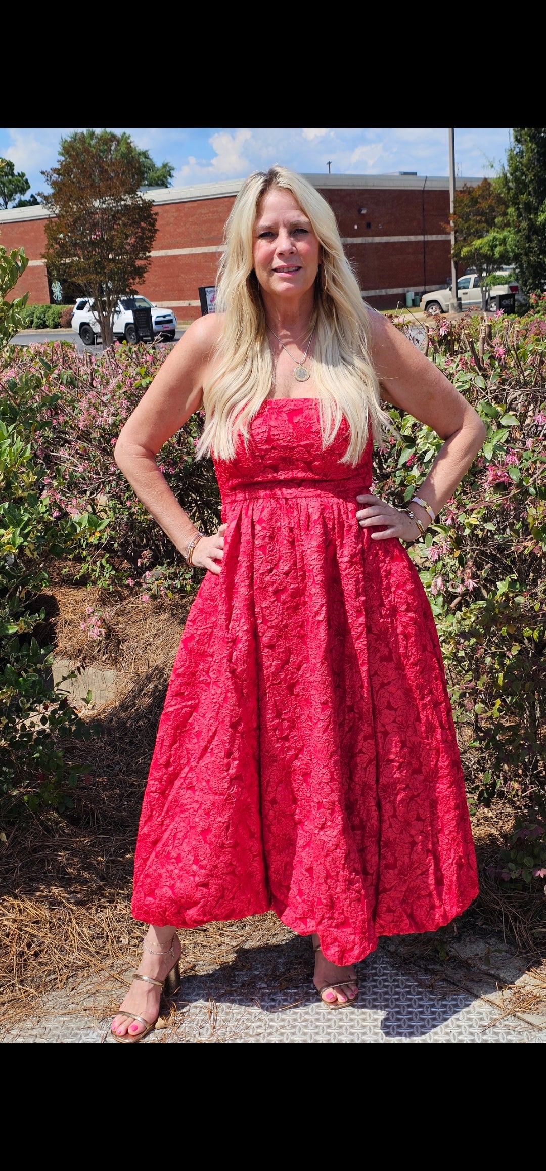 SCARLET DRESS