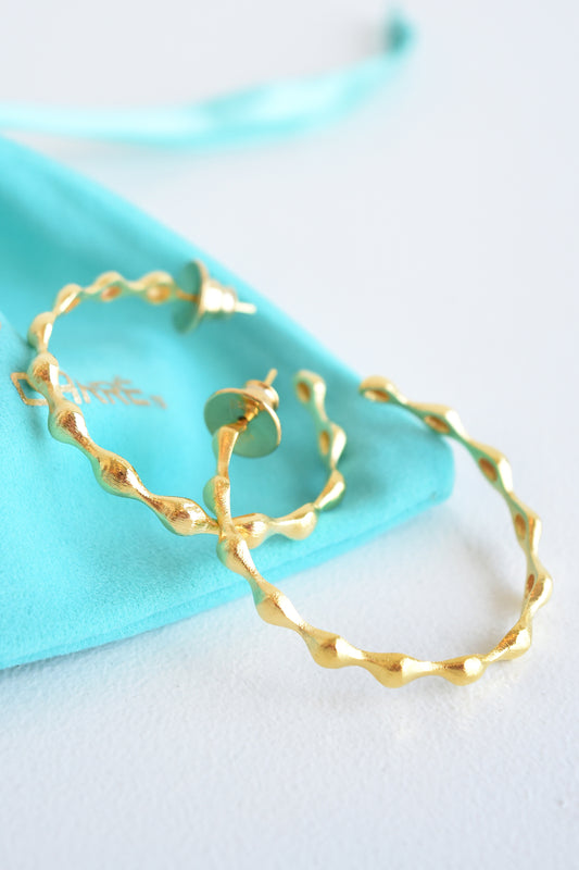 BETTY CARRE DINAH HOOPS